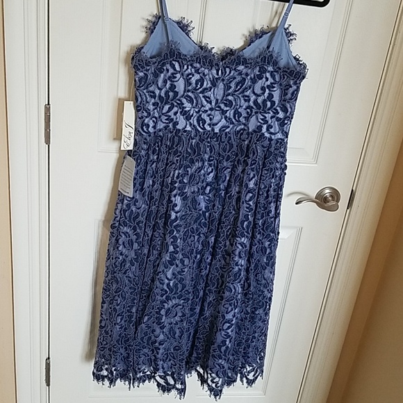 Eliza J Blue Lace Overlay Dress - Picture 4 of 7